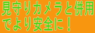 見守りカメラと併用
