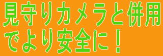 見守りカメラと併用